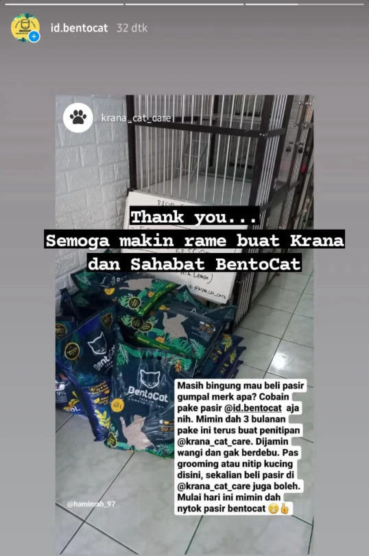 pasir kucing gumpal wangi premium bentocat